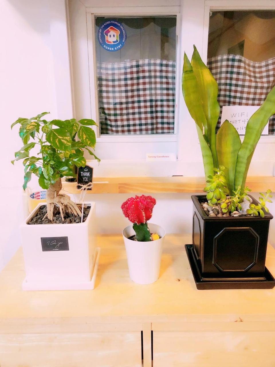 Sarang Guesthouse Dongdaemun Seoul Luaran gambar